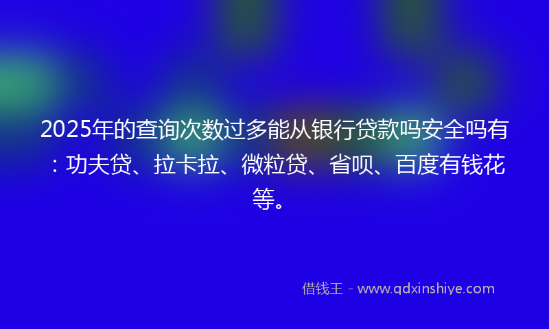 2025年的查询次数过多能从银行贷款吗安全吗有：功夫贷、拉卡拉、微粒贷、省呗、百度有钱花等。