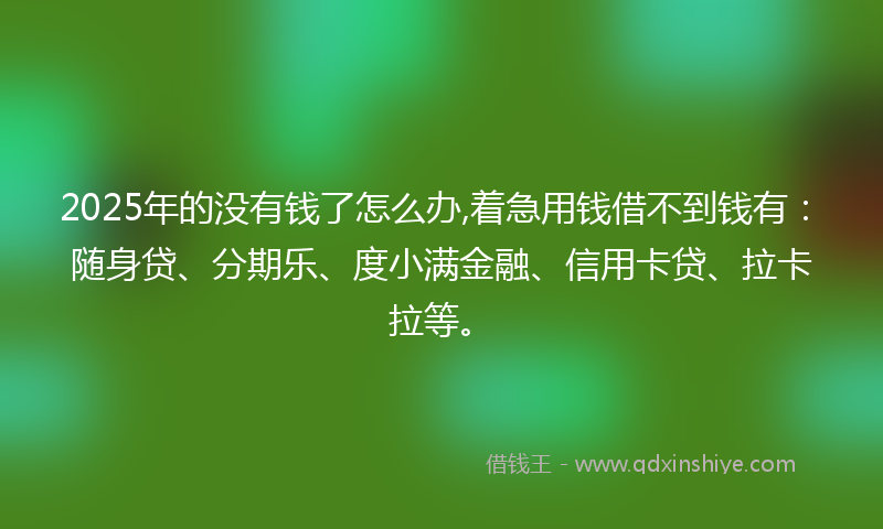 2025年的没有钱了怎么办,着急用钱借不到钱有：随身贷、分期乐、度小满金融、信用卡贷、拉卡拉等。