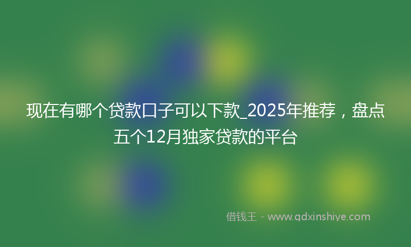现在有哪个贷款口子可以下款_2025年推荐，盘点五个12月独家贷款的平台