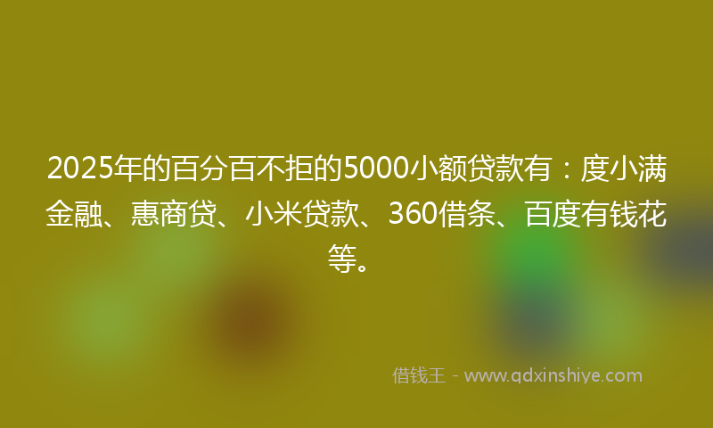 2025年的百分百不拒的5000小额贷款有：度小满金融、惠商贷、小米贷款、360借条、百度有钱花等。