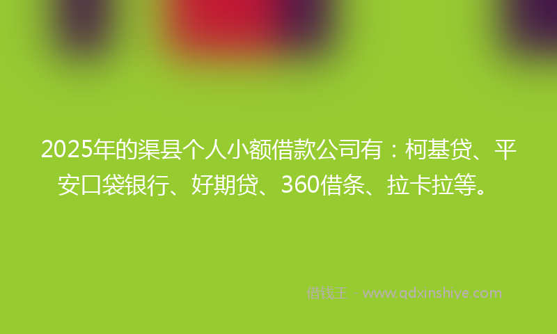 2025年的渠县个人小额借款公司有：柯基贷、平安口袋银行、好期贷、360借条、拉卡拉等。