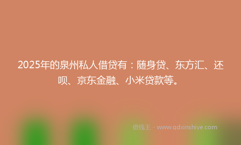 2025年的泉州私人借贷有：随身贷、东方汇、还呗、京东金融、小米贷款等。