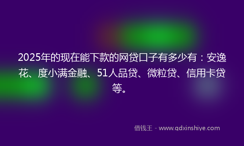 2025年的现在能下款的网贷口子有多少有:安逸花、度小满金融、51人品贷、微粒贷、信用卡贷等。