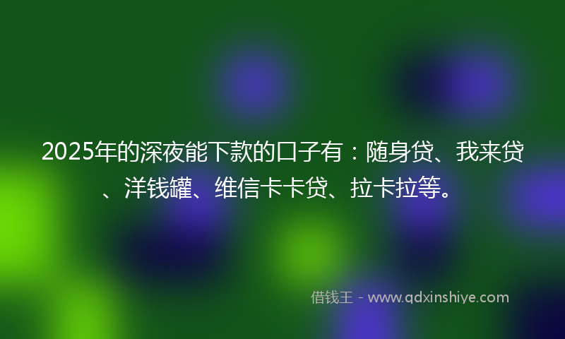 2025年的深夜能下款的口子有：随身贷、我来贷、洋钱罐、维信卡卡贷、拉卡拉等。