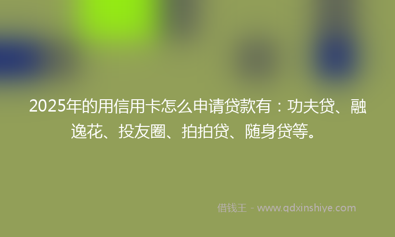2025年的用信用卡怎么申请贷款有：功夫贷、融逸花、投友圈、拍拍贷、随身贷等。
