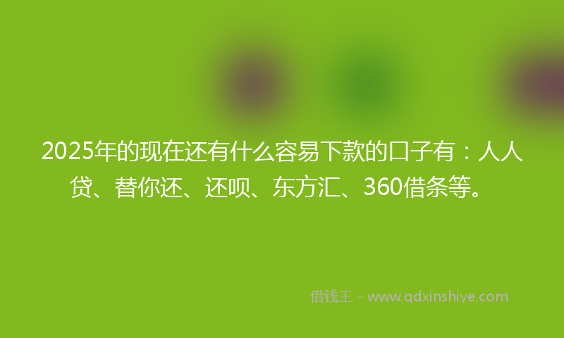 2025年的现在还有什么容易下款的口子有：人人贷、替你还、还呗、东方汇、360借条等。