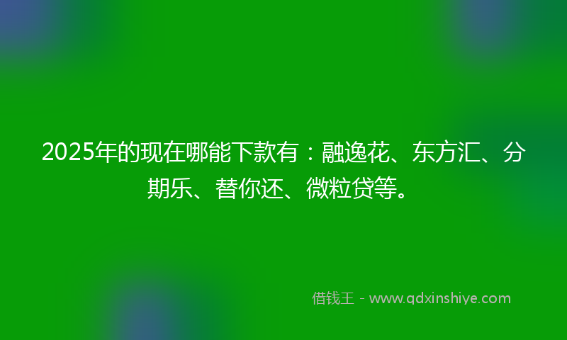 2025年的现在哪能下款有：融逸花、东方汇、分期乐、替你还、微粒贷等。