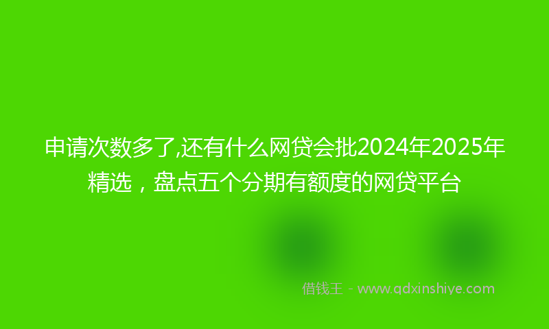 申请次数多了,还有什么网贷会批2024年2025年精选，盘点五个分期有额度的网贷平台