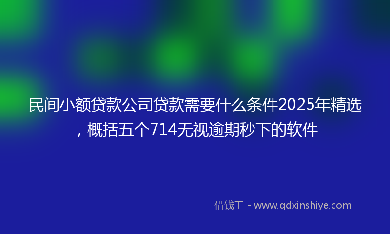 民间小额贷款公司贷款需要什么条件2025年精选，概括五个714无视逾期秒下的软件
