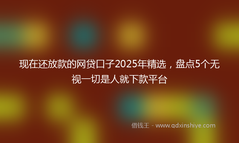 现在还放款的网贷口子2025年精选，盘点5个无视一切是人就下款平台