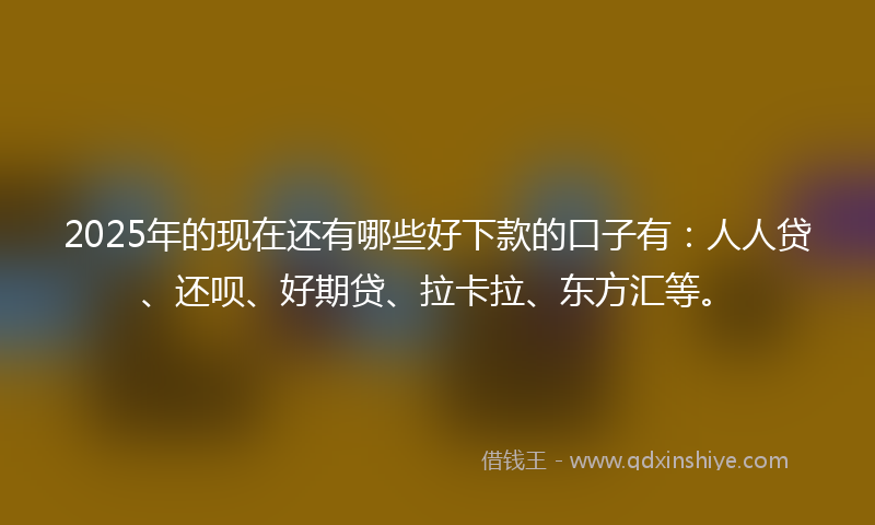 2025年的现在还有哪些好下款的口子有：人人贷、还呗、好期贷、拉卡拉、东方汇等。