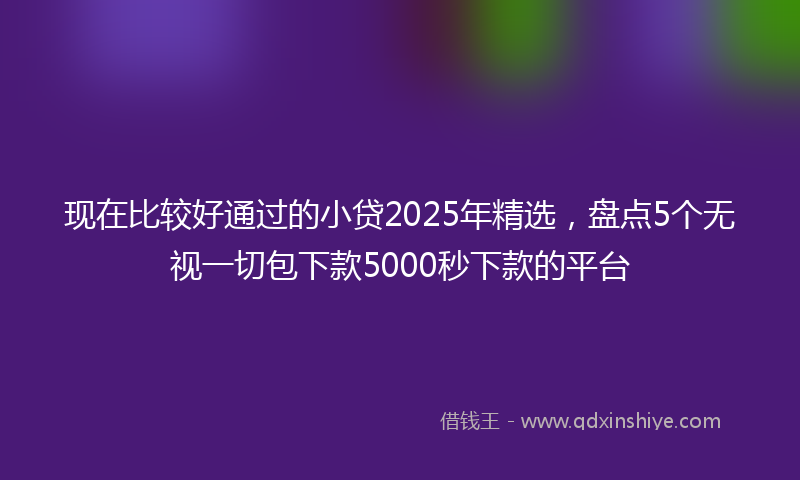 现在比较好通过的小贷2025年精选，盘点5个无视一切包下款5000秒下款的平台