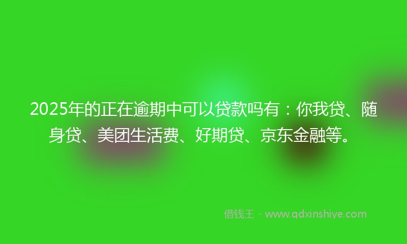 2025年的正在逾期中可以贷款吗有：你我贷、随身贷、美团生活费、好期贷、京东金融等。