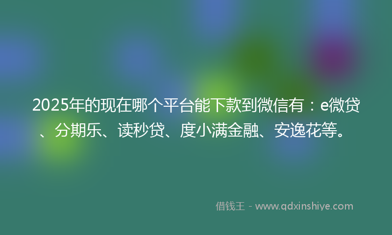 2025年的现在哪个平台能下款到微信有：e微贷、分期乐、读秒贷、度小满金融、安逸花等。
