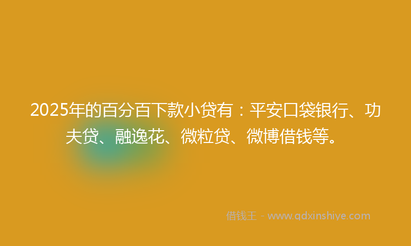 2025年的百分百下款小贷有：平安口袋银行、功夫贷、融逸花、微粒贷、微博借钱等。