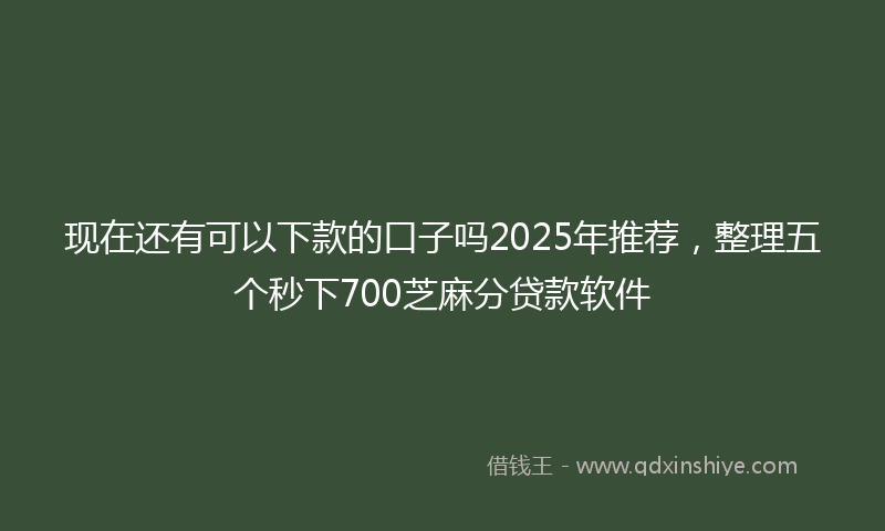 现在还有可以下款的口子吗2025年推荐，整理五个秒下700芝麻分贷款软件