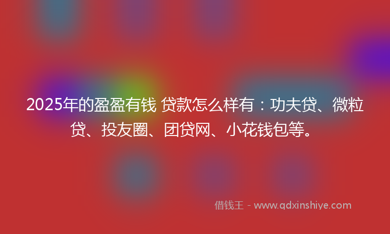 2025年的盈盈有钱 贷款怎么样有：功夫贷、微粒贷、投友圈、团贷网、小花钱包等。