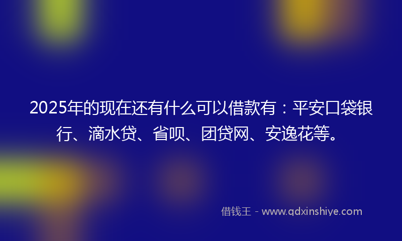 2025年的现在还有什么可以借款有：平安口袋银行、滴水贷、省呗、团贷网、安逸花等。