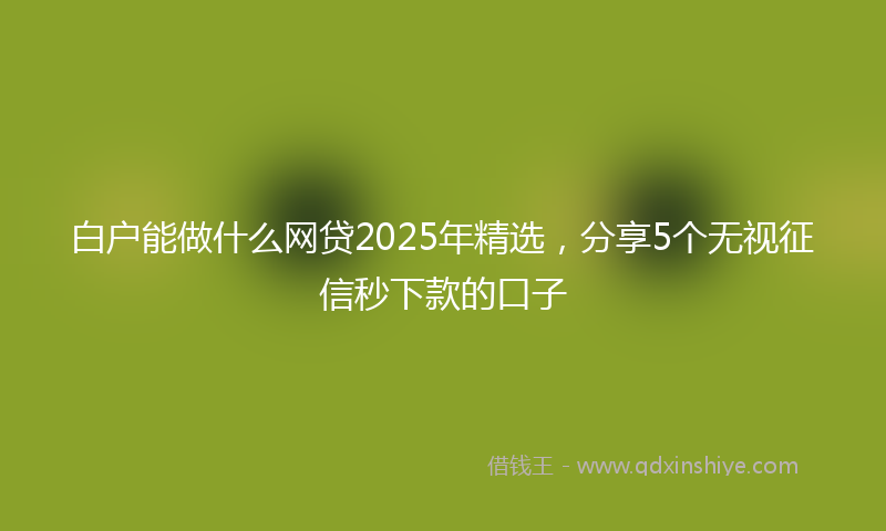 白户能做什么网贷2025年精选，分享5个无视征信秒下款的口子