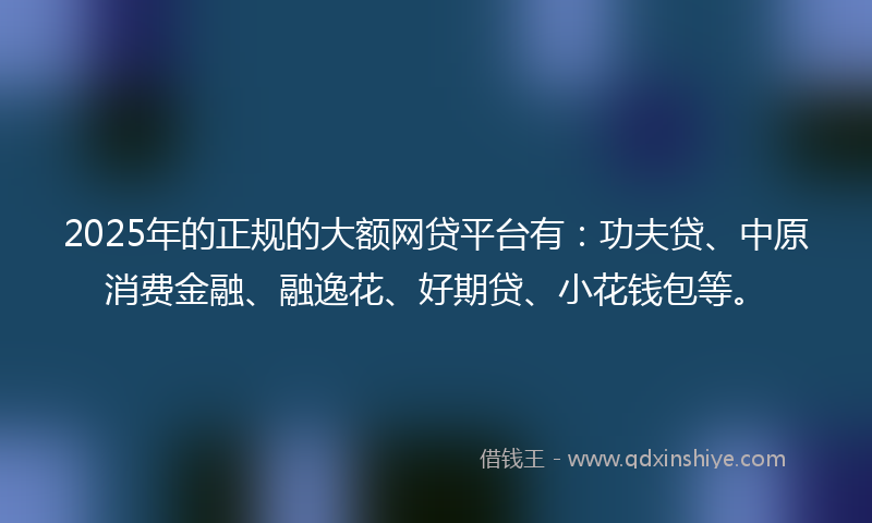 2025年的正规的大额网贷平台有：功夫贷、中原消费金融、融逸花、好期贷、小花钱包等。