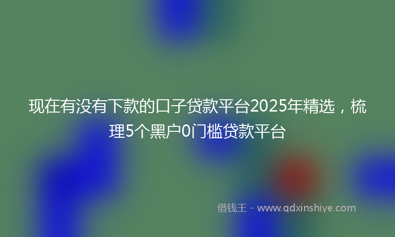 现在有没有下款的口子贷款平台2025年精选，梳理5个黑户0门槛贷款平台