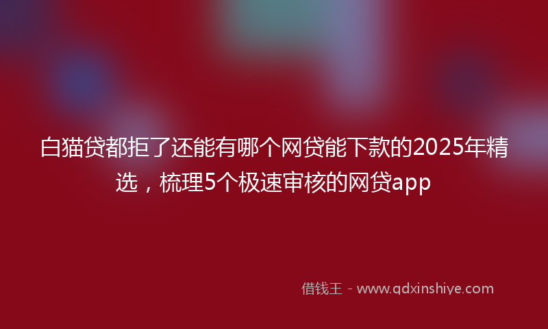 白猫贷都拒了还能有哪个网贷能下款的2025年精选，梳理5个极速审核的网贷app