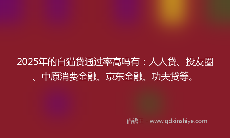 2025年的白猫贷通过率高吗有：人人贷、投友圈、中原消费金融、京东金融、功夫贷等。