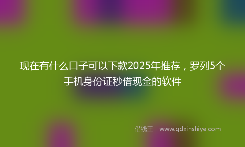 现在有什么口子可以下款2025年推荐，罗列5个手机身份证秒借现金的软件