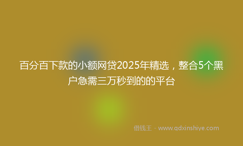 百分百下款的小额网贷2025年精选,整合5个黑户急需三万秒到的的平台