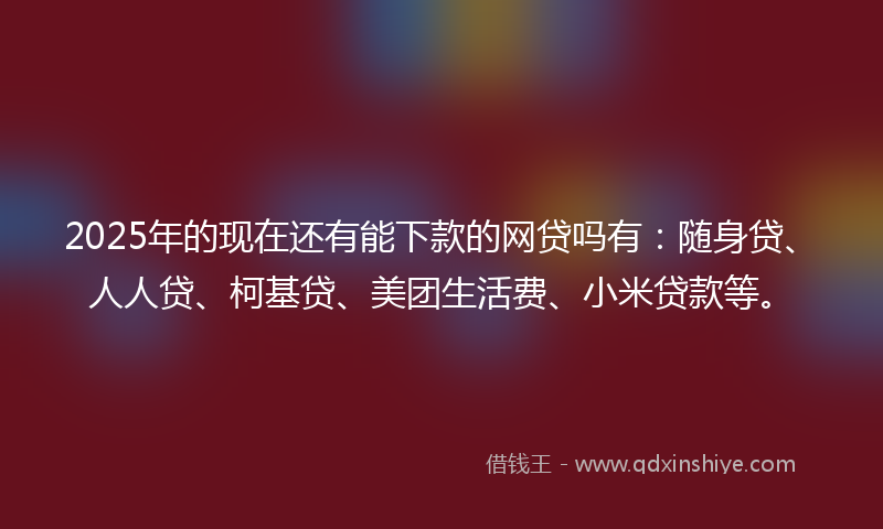 2025年的现在还有能下款的网贷吗有：随身贷、人人贷、柯基贷、美团生活费、小米贷款等。