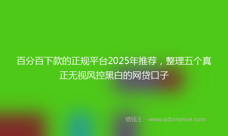 百分百下款的正规平台2025年推荐,整理五个真正无视风控黑白的网贷口子