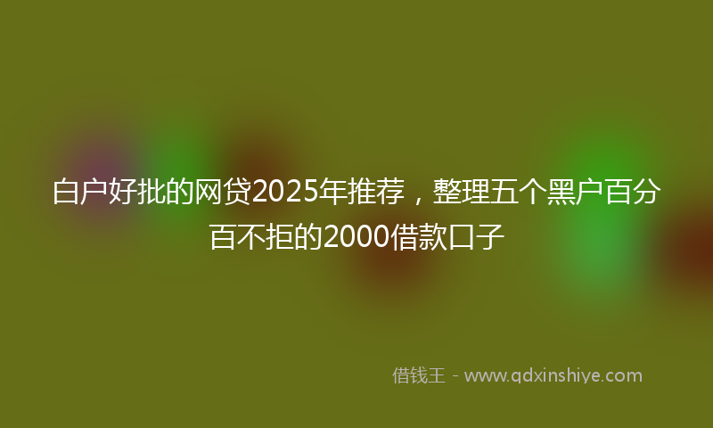 白户好批的网贷2025年推荐，整理五个黑户百分百不拒的2000借款口子