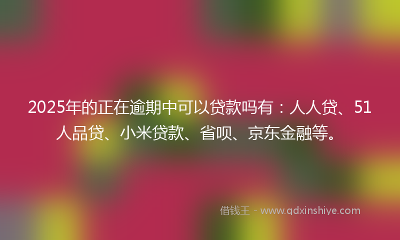 2025年的正在逾期中可以贷款吗有：人人贷、51人品贷、小米贷款、省呗、京东金融等。
