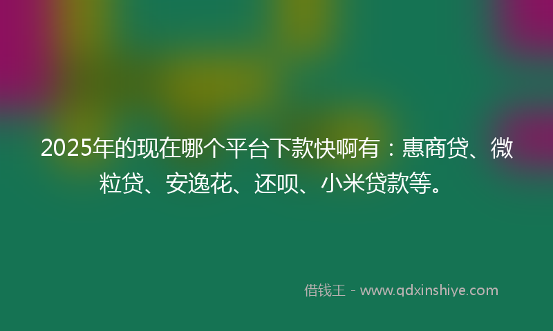 2025年的现在哪个平台下款快啊有：惠商贷、微粒贷、安逸花、还呗、小米贷款等。