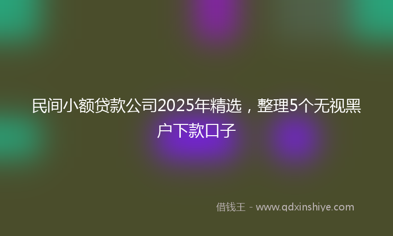 民间小额贷款公司2025年精选，整理5个无视黑户下款口子