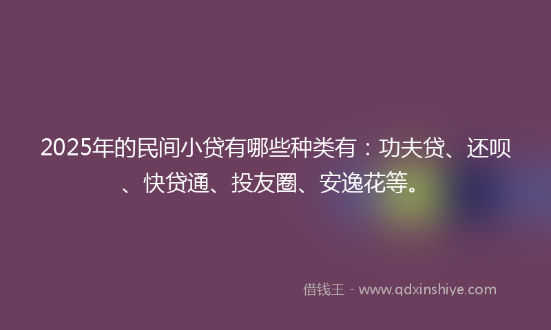 2025年的民间小贷有哪些种类有：功夫贷、还呗、快贷通、投友圈、安逸花等。