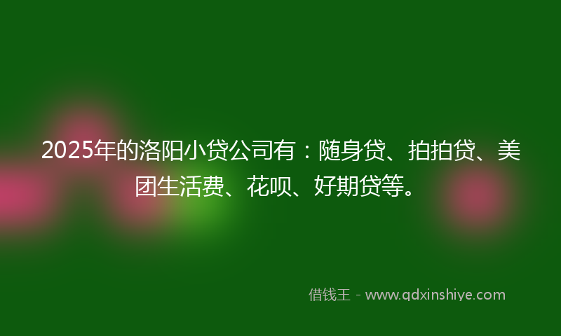 2025年的洛阳小贷公司有：随身贷、拍拍贷、美团生活费、花呗、好期贷等。