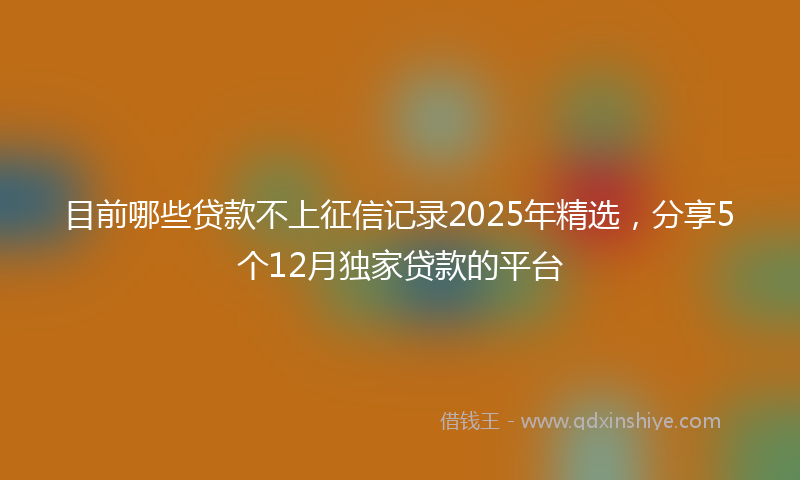 目前哪些贷款不上征信记录2025年精选，分享5个12月独家贷款的平台