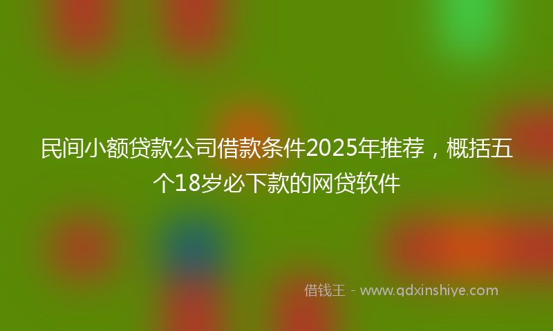 民间小额贷款公司借款条件2025年推荐，概括五个18岁必下款的网贷软件