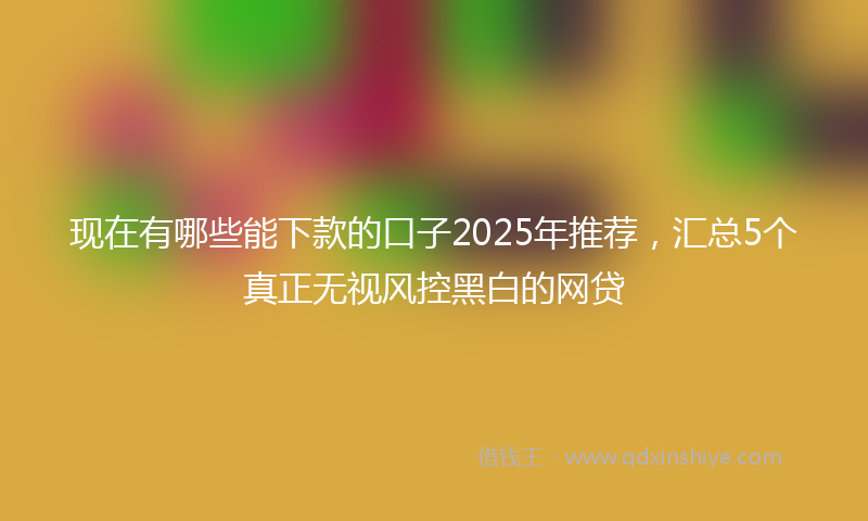 现在有哪些能下款的口子2025年推荐,汇总5个真正无视风控黑白的网贷