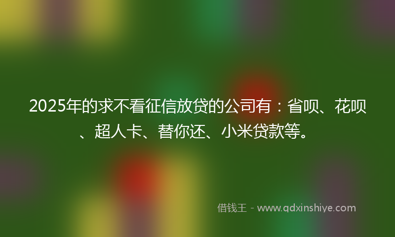 2025年的求不看征信放贷的公司有：省呗、花呗、超人卡、替你还、小米贷款等。
