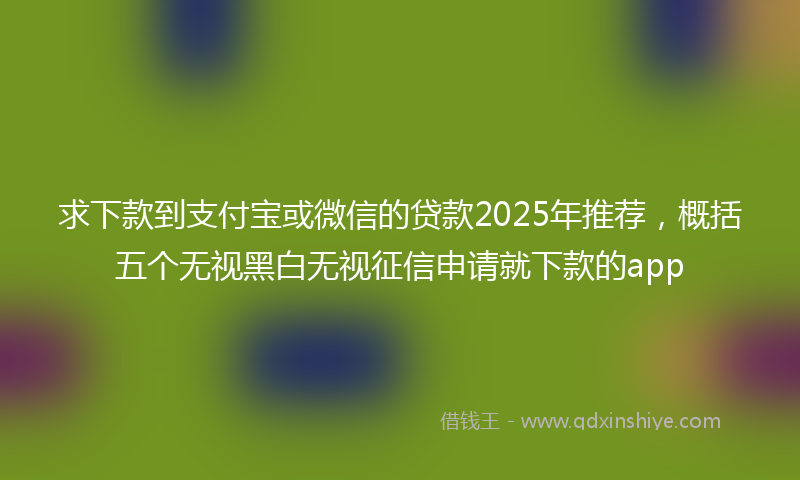 求下款到支付宝或微信的贷款2025年推荐，概括五个无视黑白无视征信申请就下款的app