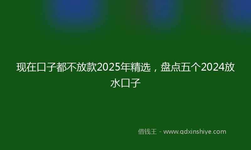 现在口子都不放款2025年精选，盘点五个2024放水口子