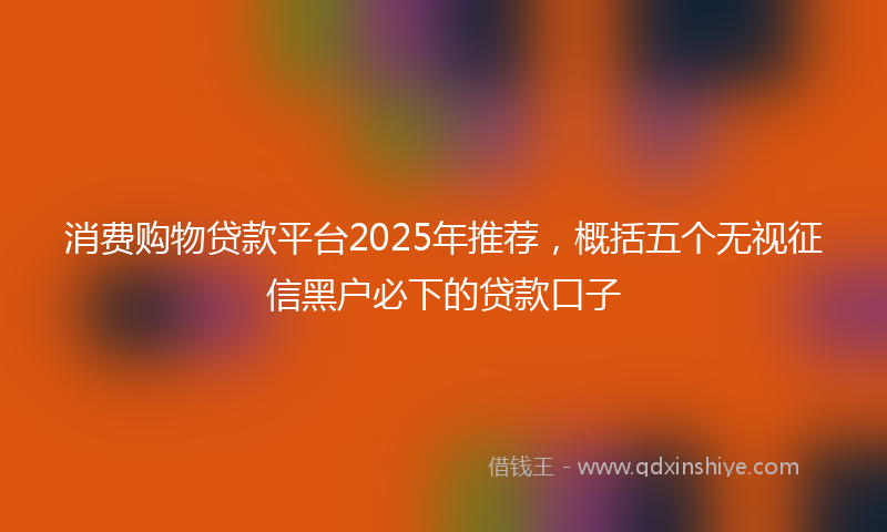 消费购物贷款平台2025年推荐，概括五个无视征信黑户必下的贷款口子