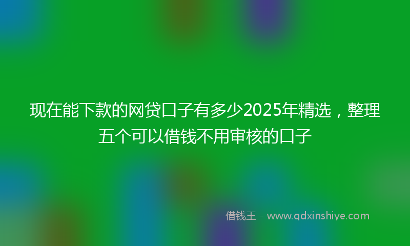 现在能下款的网贷口子有多少2025年精选，整理五个可以借钱不用审核的口子