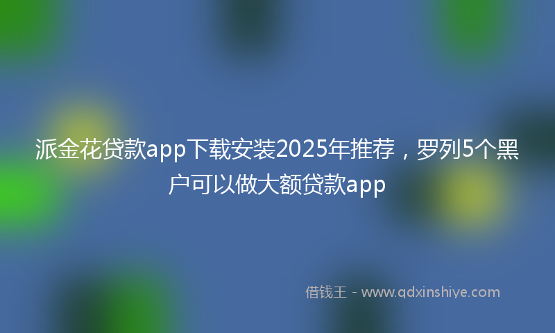 派金花贷款app下载安装2025年推荐，罗列5个黑户可以做大额贷款app