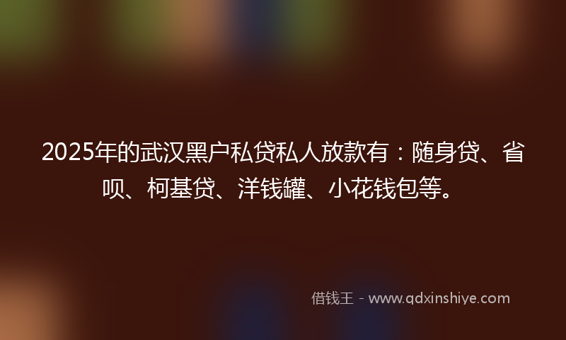 2025年的武汉黑户私贷私人放款有：随身贷、省呗、柯基贷、洋钱罐、小花钱包等。