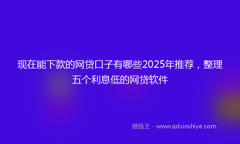 现在能下款的网贷口子有哪些2025年推荐，整理五个利息低的网贷软件