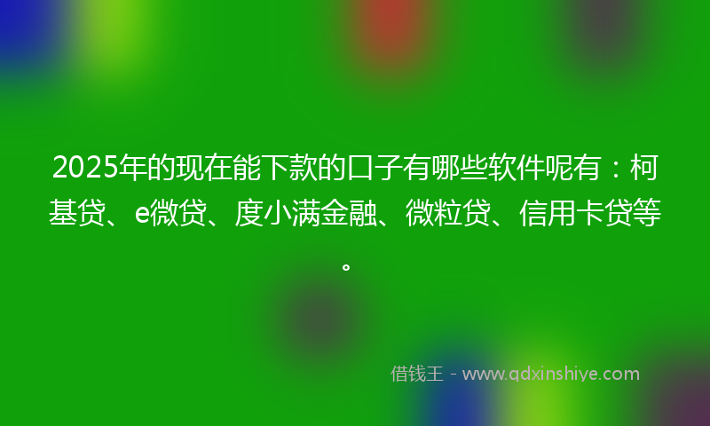 2025年的现在能下款的口子有哪些软件呢有：柯基贷、e微贷、度小满金融、微粒贷、信用卡贷等。