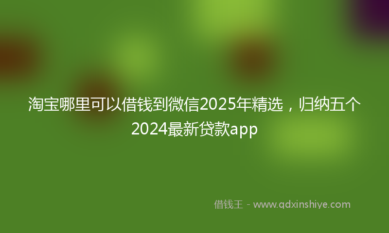 淘宝哪里可以借钱到微信2025年精选，归纳五个2024最新贷款app